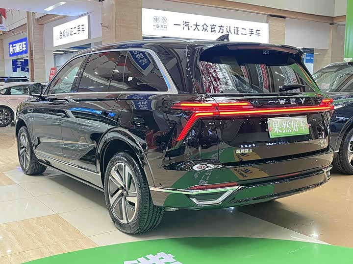 Фото 9 - Wey Lanshan