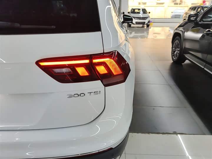 Фото 8 - Volkswagen Tiguan L Pro