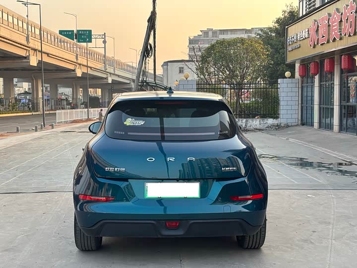 Фото 3 - Ora Good Cat (03)