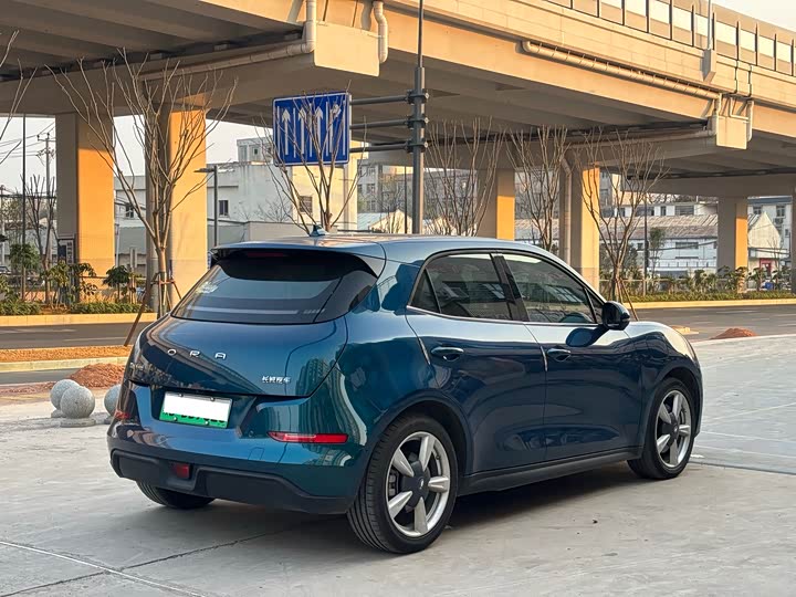 Фото 4 - Ora Good Cat (03)