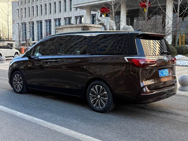 Фото 5 - Buick GL8 ES