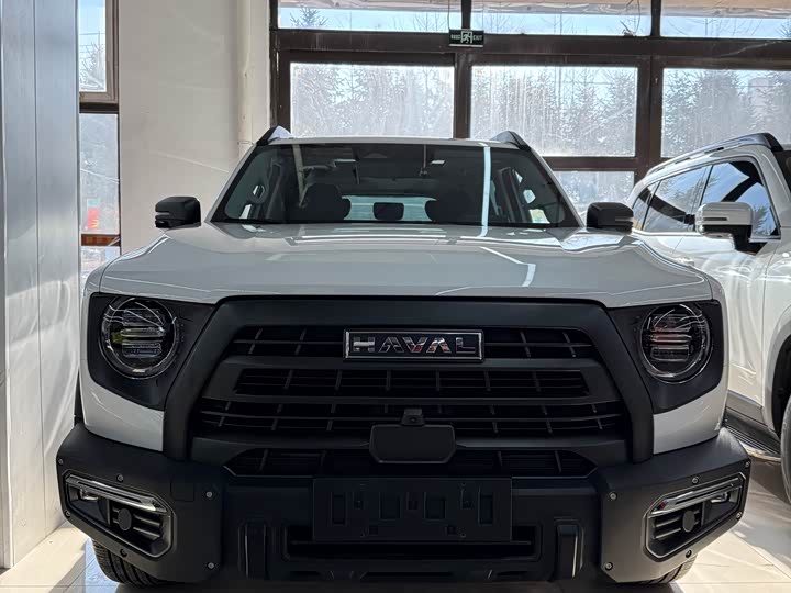 Фото 2 - Haval Dargo