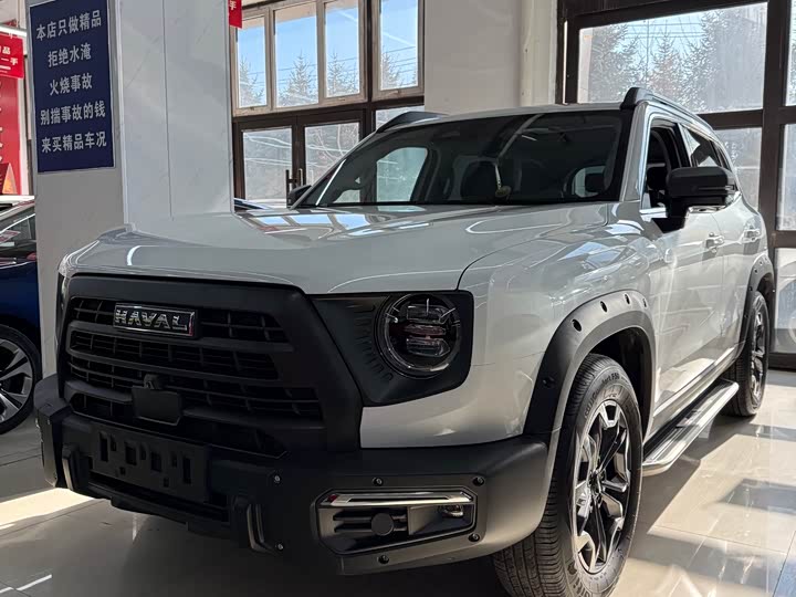 Фото 3 - Haval Dargo