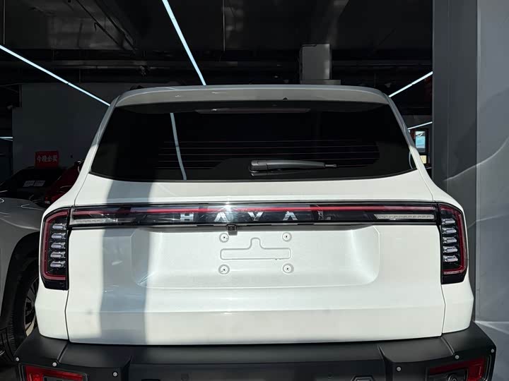 Фото 5 - Haval Dargo