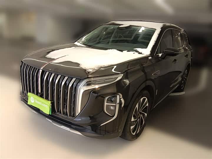 Фото 1 - Hongqi HS7 Hybrid