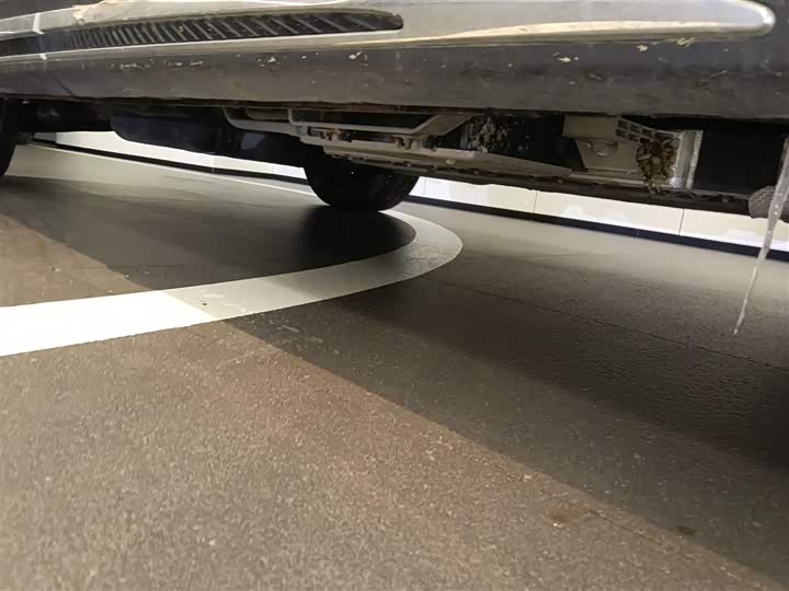 Фото 2 - Hongqi HS7 Hybrid