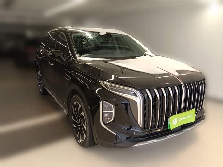 Фото 7 - Hongqi HS7 Hybrid