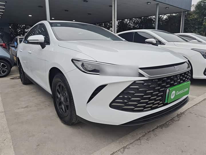 Фото 4 - BYD Qin Plus
