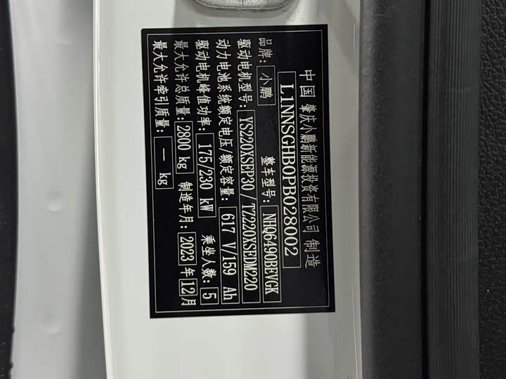 Фото 9 - XPeng G9