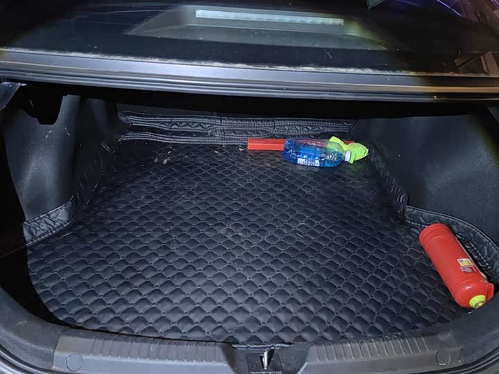 Фото 4 - GAC Trumpchi Empow R