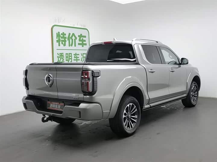 Фото 2 - Great Wall Shanhai Poer