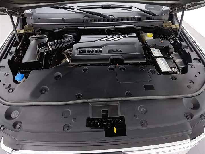 Фото 6 - Great Wall Shanhai Poer