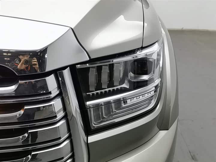 Фото 7 - Great Wall Shanhai Poer