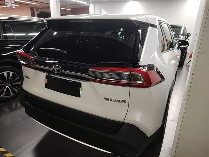 Фото 7 - Toyota Wildlander