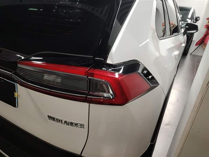 Фото 8 - Toyota Wildlander