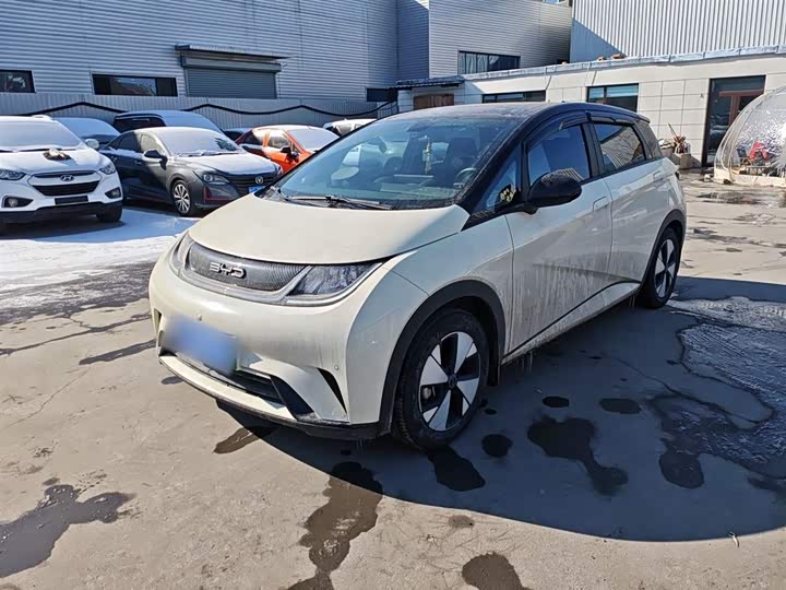 Фото 2 - BYD Dolphin