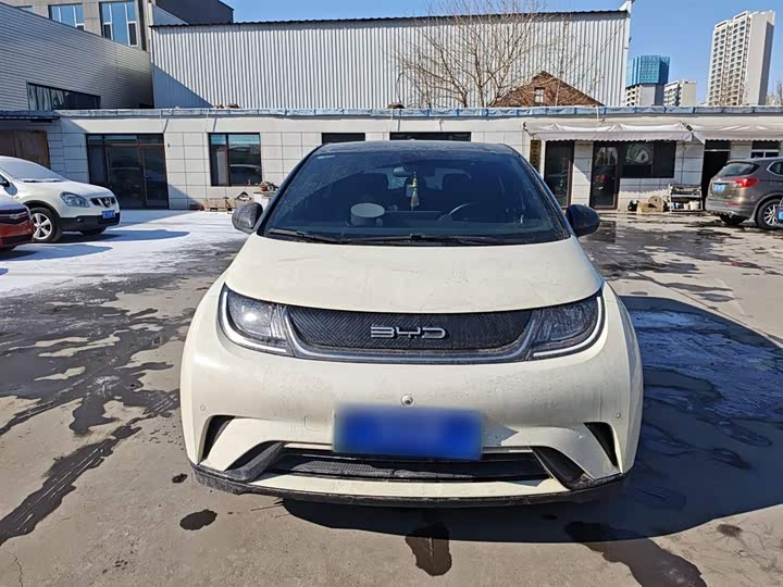 Фото 3 - BYD Dolphin