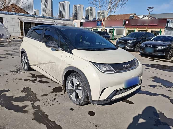 Фото 4 - BYD Dolphin