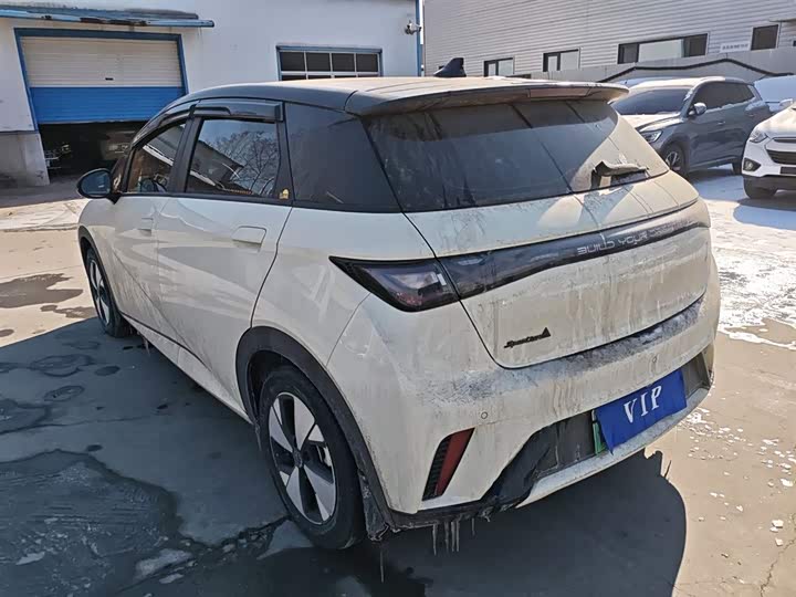 Фото 5 - BYD Dolphin