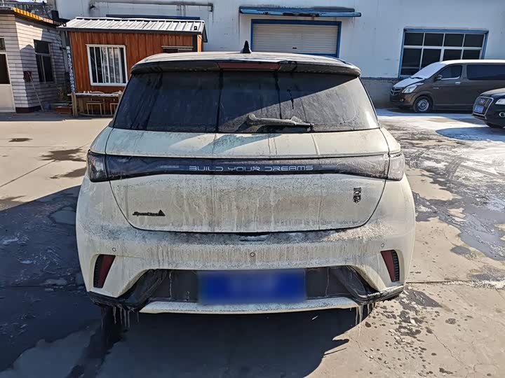 Фото 6 - BYD Dolphin