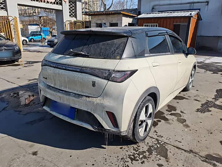 Фото 7 - BYD Dolphin