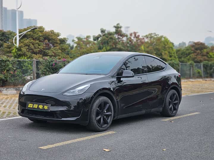 Фото 1 - Tesla Model Y