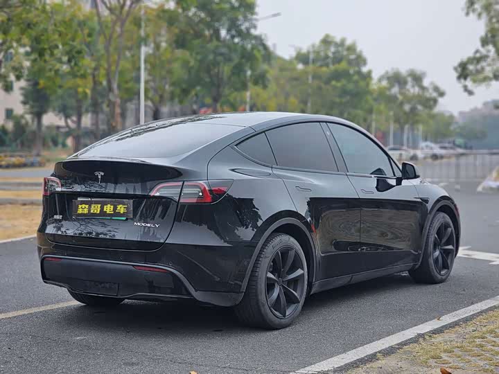 Фото 3 - Tesla Model Y