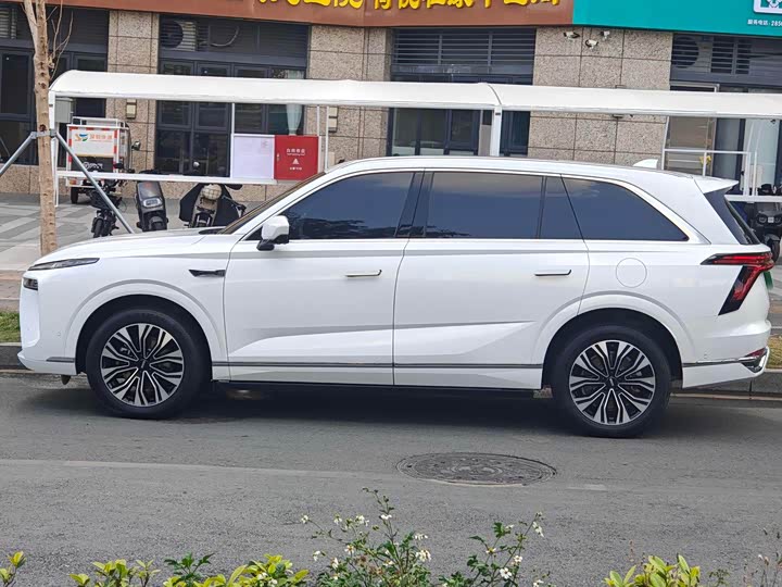 Фото 3 - Wey Lanshan