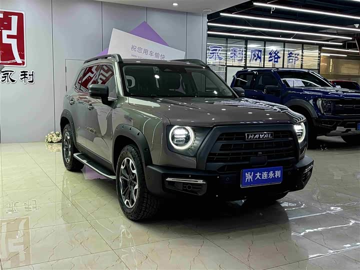 Фото 3 - Haval Dargo