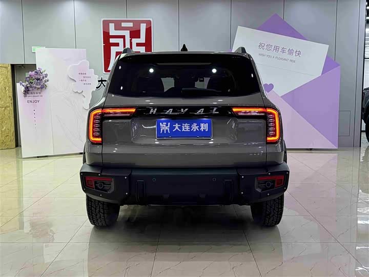 Фото 6 - Haval Dargo