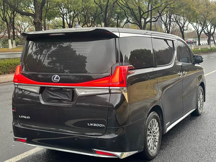 Фото 4 - Lexus LM