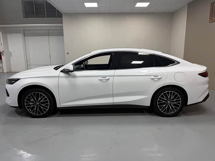 Фото 7 - BYD Qin L