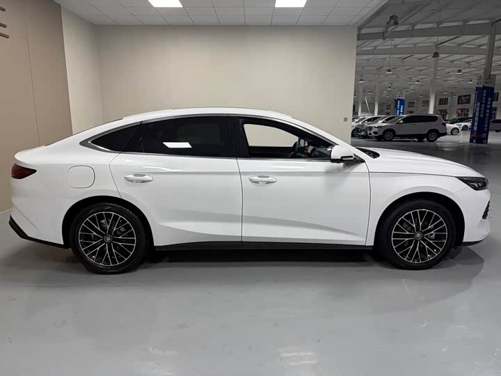 Фото 8 - BYD Qin L