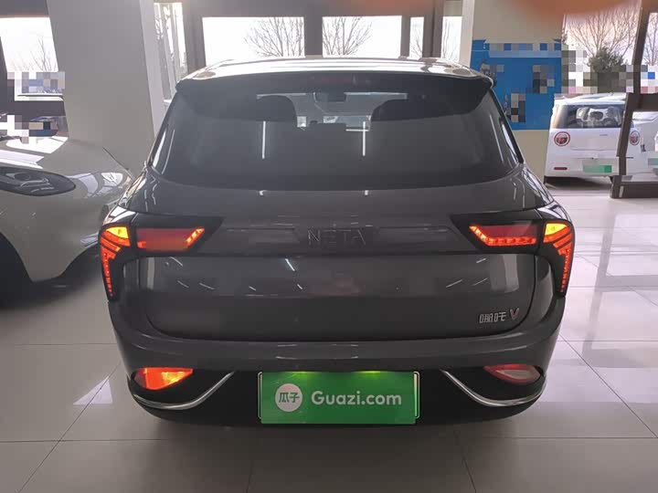 Фото 6 - Hozon V