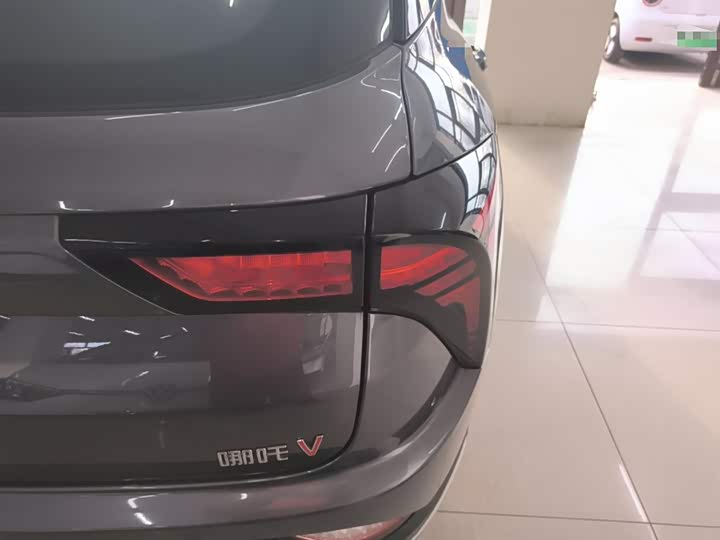 Фото 8 - Hozon V