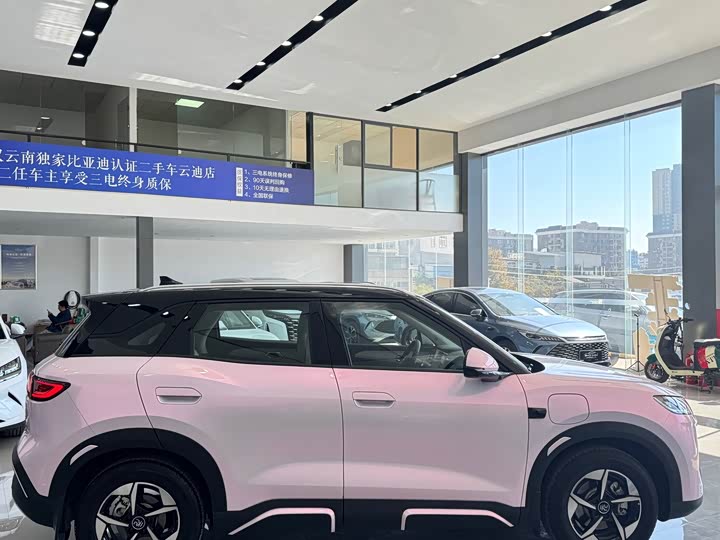 Фото 6 - BYD Yuan Up