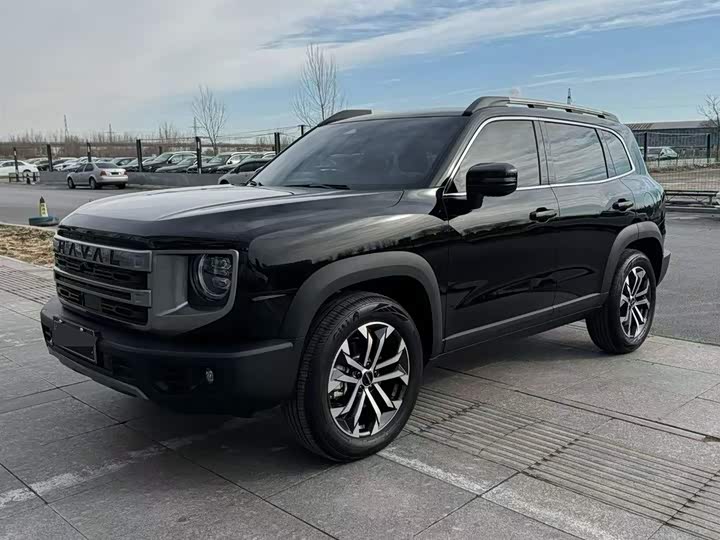 Фото 1 - Haval Dargo