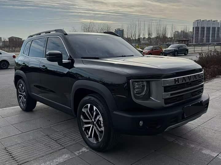 Фото 3 - Haval Dargo