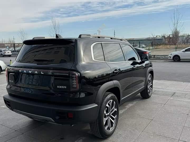 Фото 4 - Haval Dargo