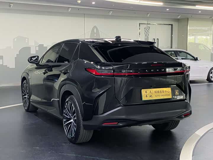 Фото 6 - Lexus RZ