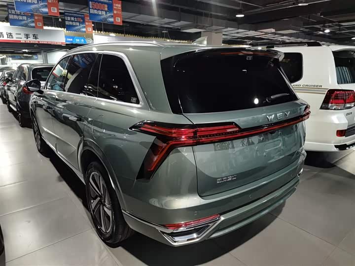 Фото 5 - Wey Lanshan