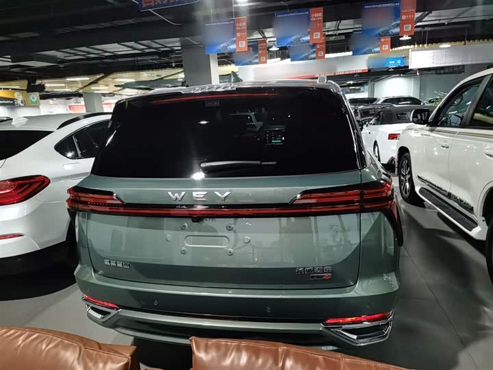 Фото 6 - Wey Lanshan