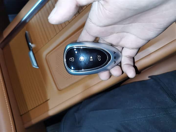 Фото 9 - Wey Lanshan