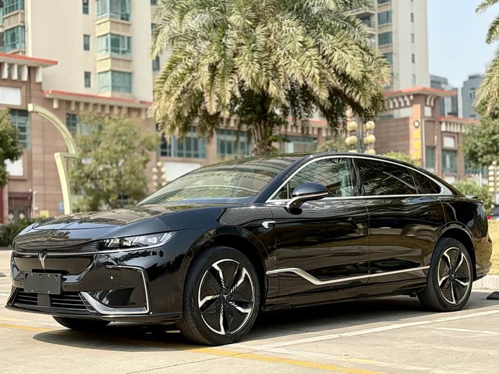 Фото 1 - Voyah Passion