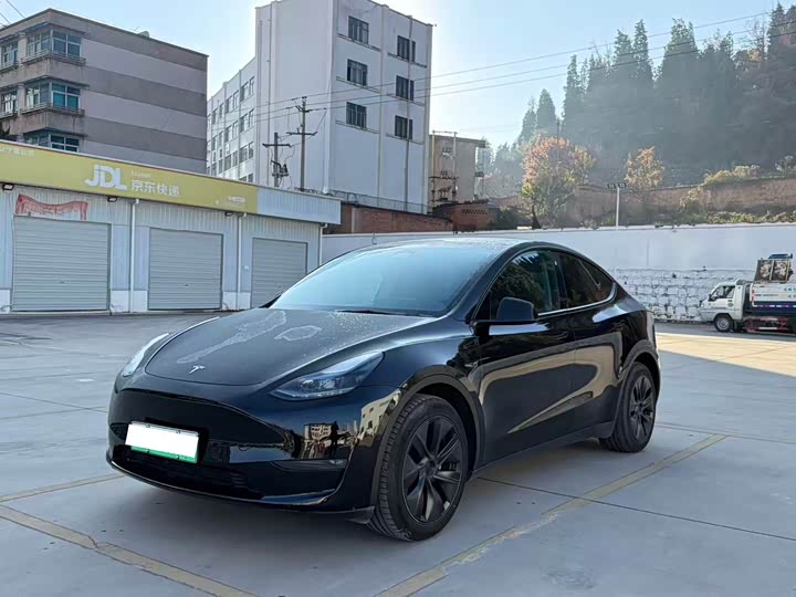 Фото 1 - Tesla Model Y