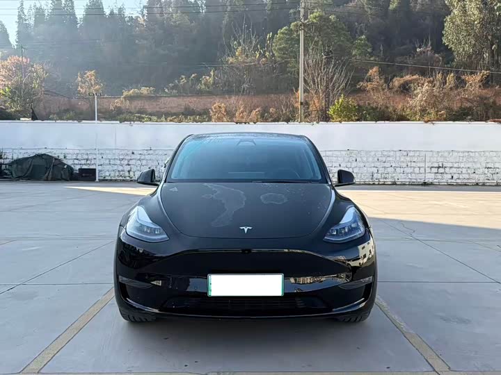Фото 2 - Tesla Model Y