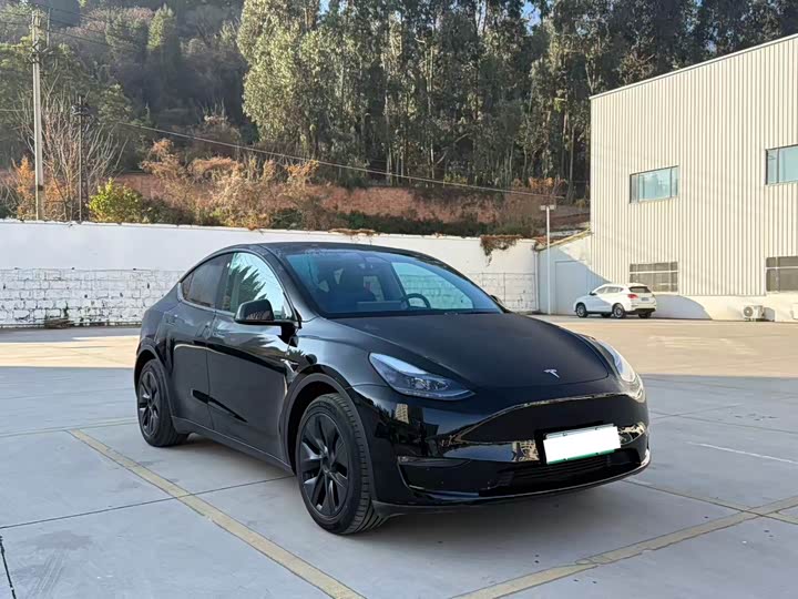 Фото 3 - Tesla Model Y