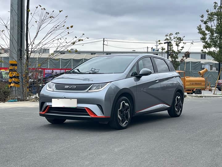 Фото 1 - BYD Dolphin