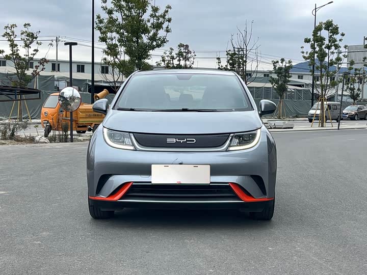 Фото 2 - BYD Dolphin