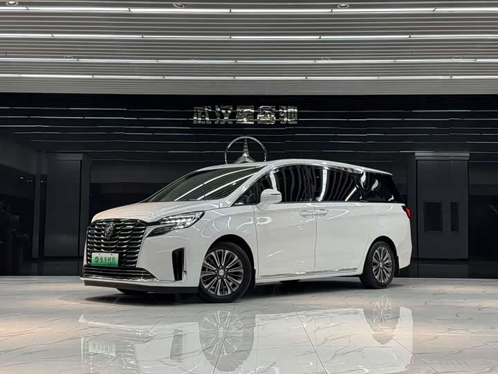 Фото 1 - Buick GL8 ES